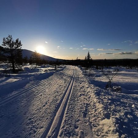 Yllaes Kanerva 105 Äkäslompolo エクステリア 写真